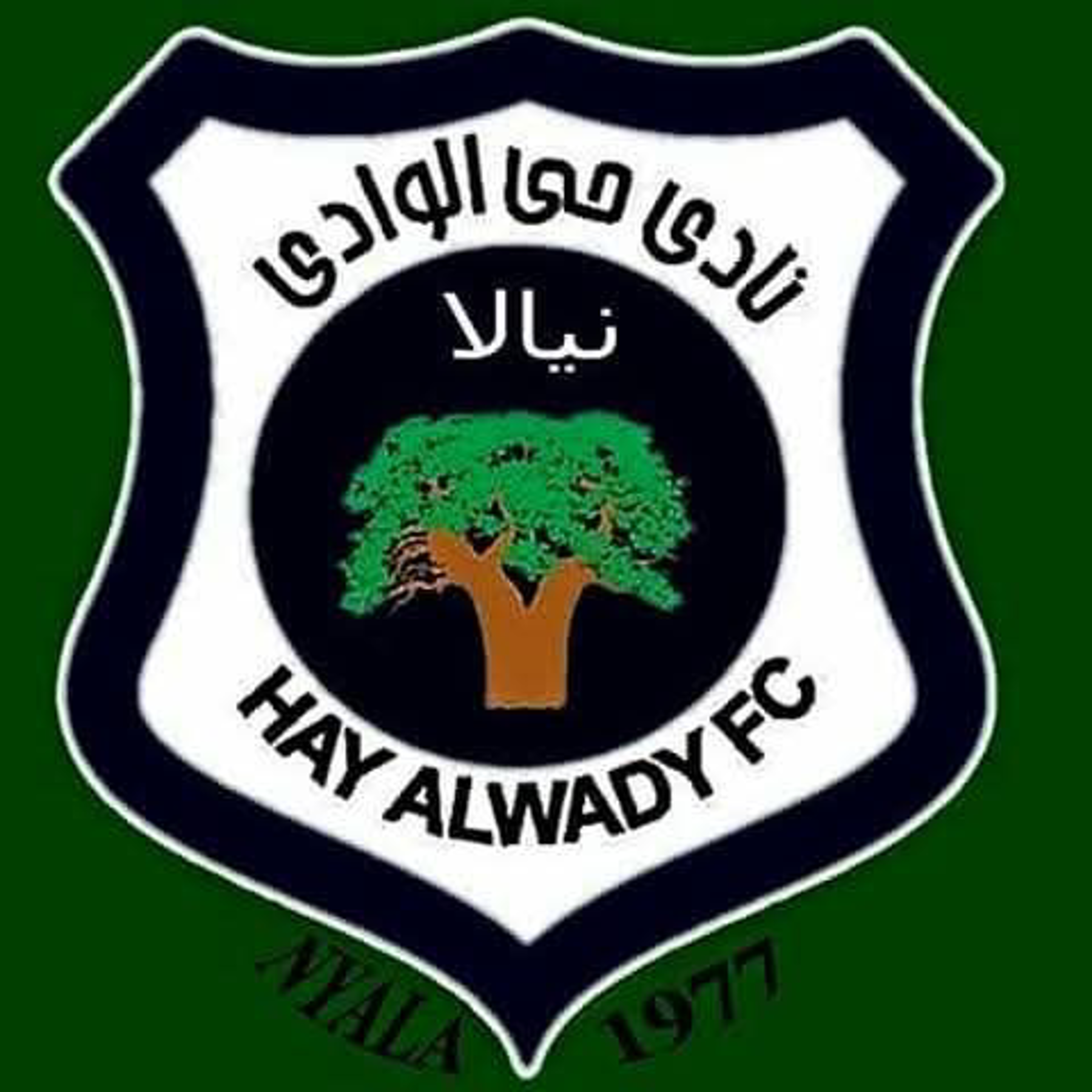 نادي حي الوادي نيالا